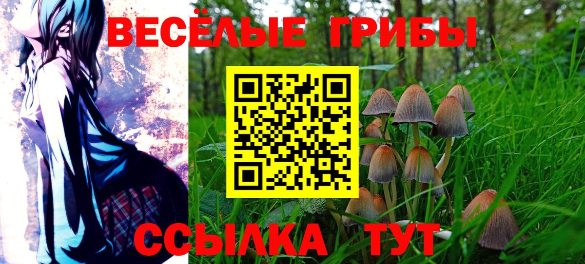 Реутов  Псилоцибиновые грибы Cubensis  Вход с VPN 
