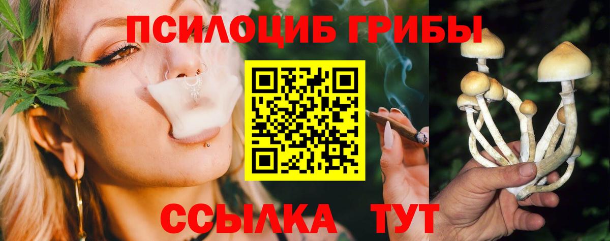 Галлюциногенные грибы MAGIC MUSHROOMS Реутов